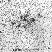 Observations Of X-Ray Sources In M31
