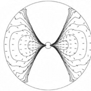General Relativistic Hydrodynamics And Accretion Physics: A Numerical Approach