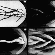 Fluid Dynamical Mechanisms for Knots in Astrophysical Jets