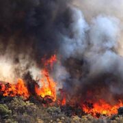 WIFIRE project helps firefighters get a jump on wildfires – UC News