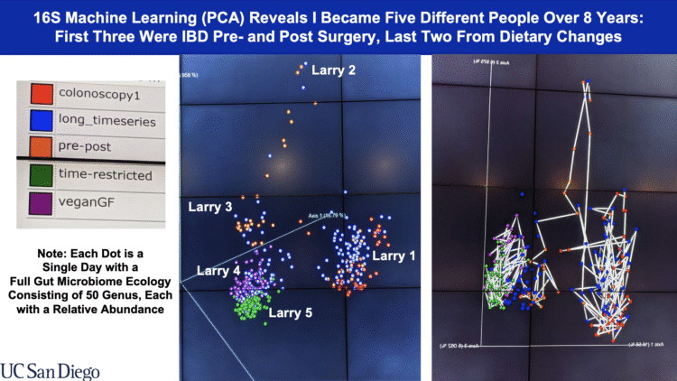 Revealing the Dynamics of an Individual’s Gut Microbiome Dynamics
